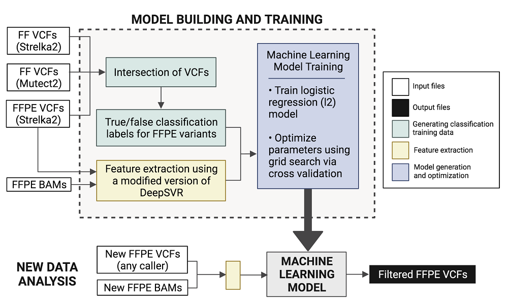 Description of the FFPolish workflow.