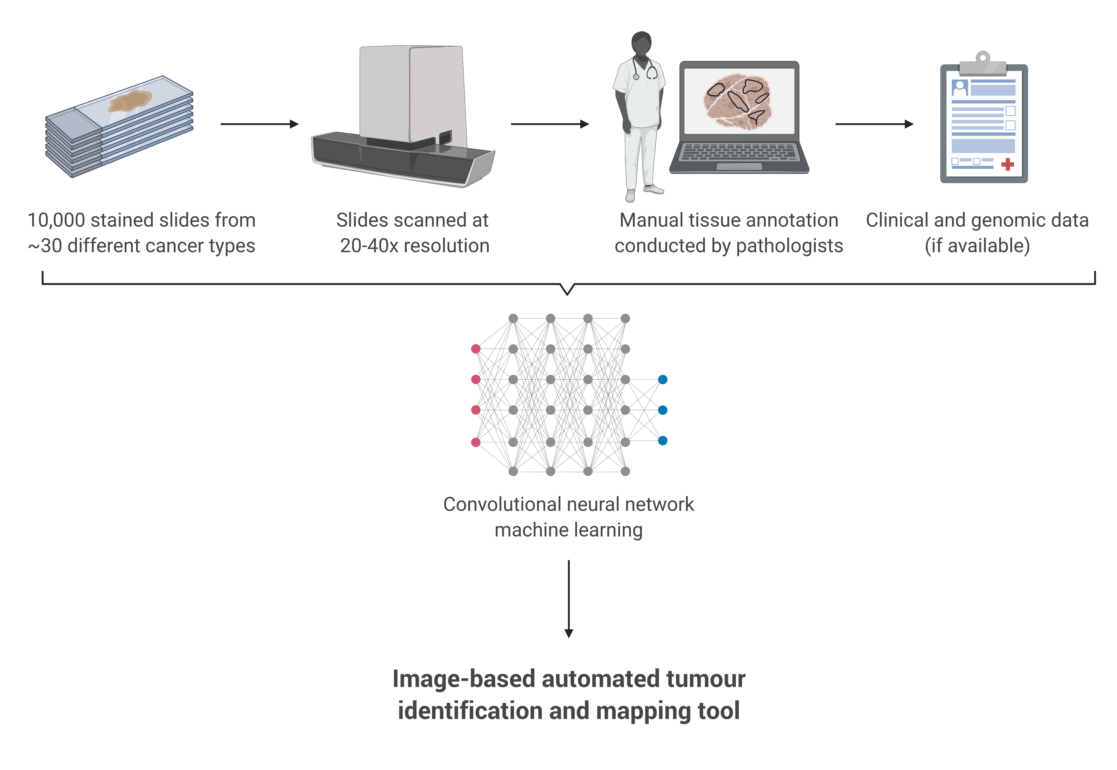 Digital pathology