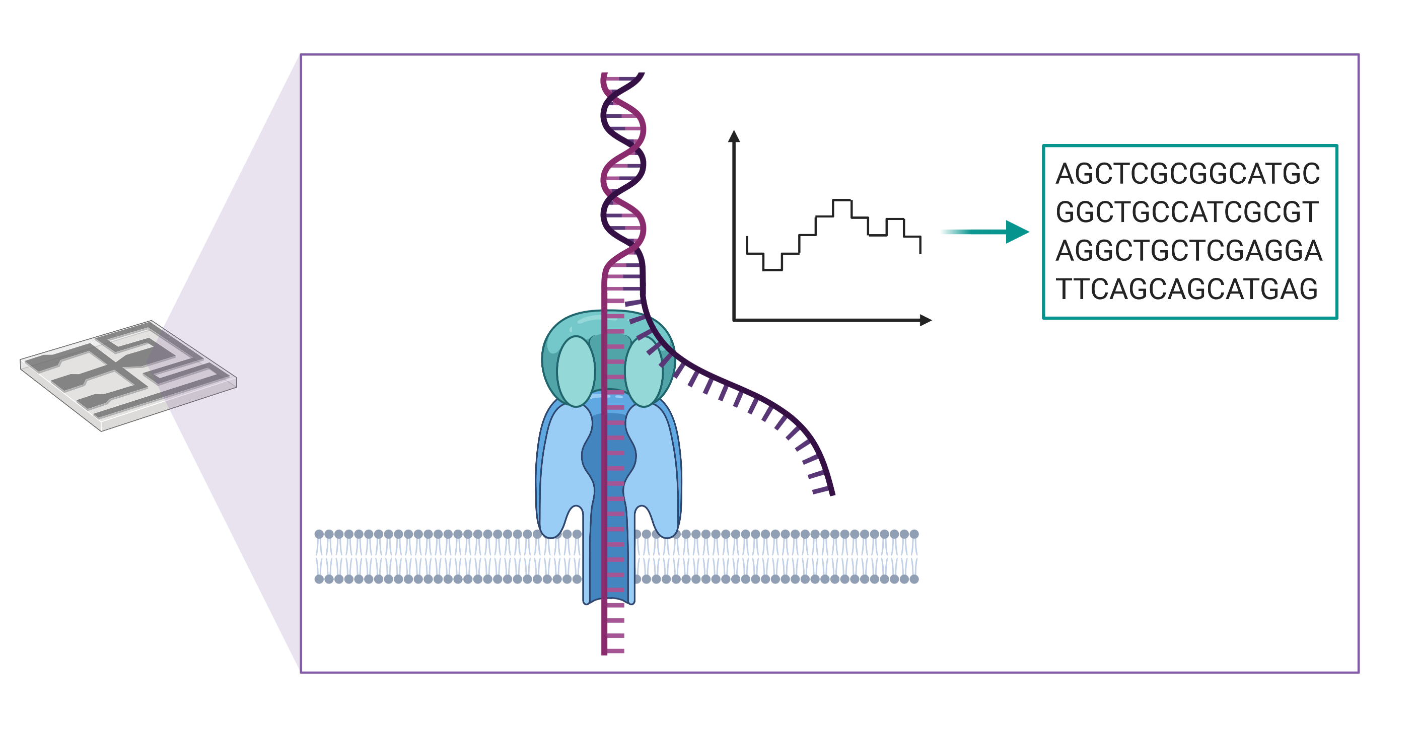 Long read sequencing