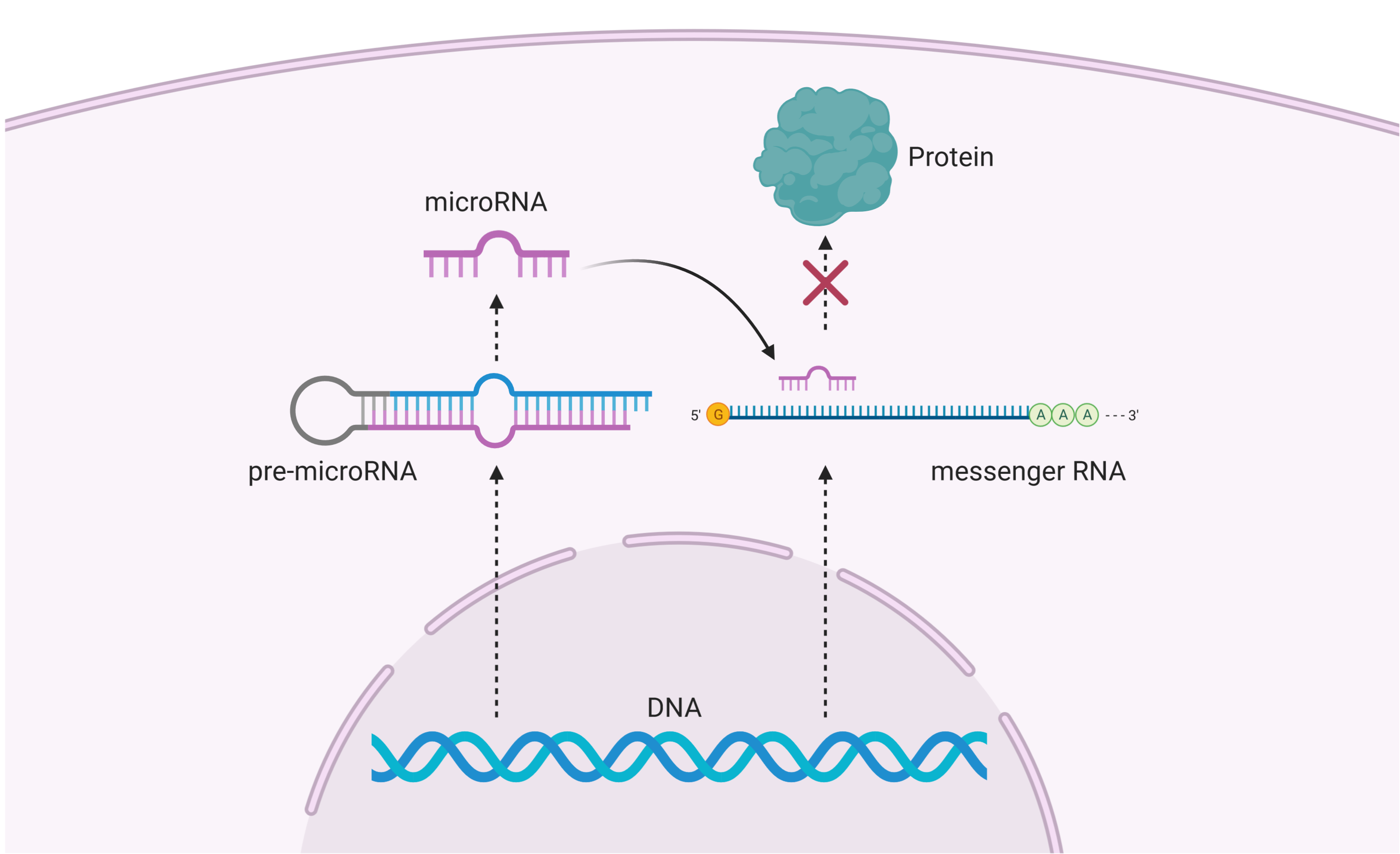 glossary-genome-sciences-centre