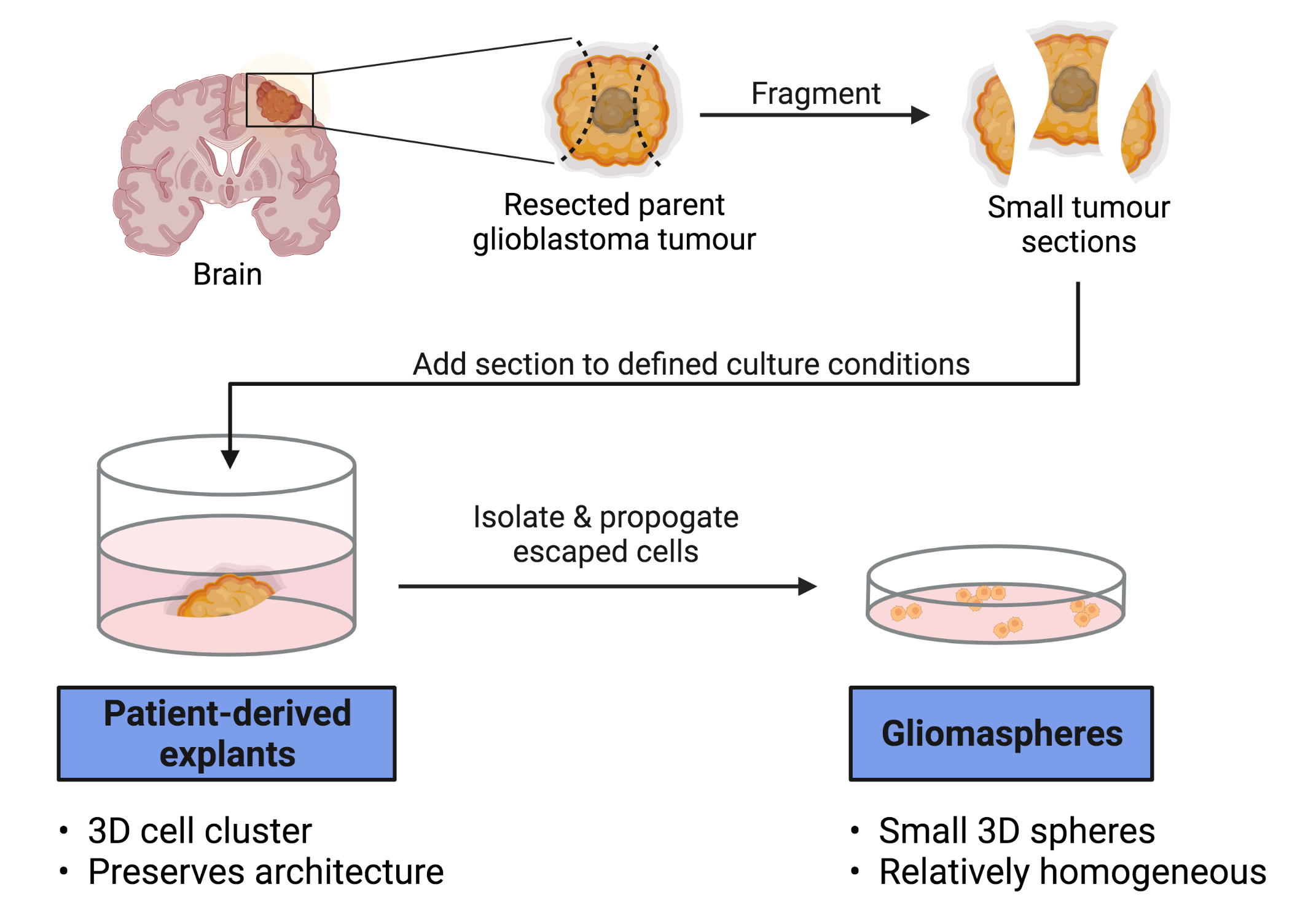 Diagram of PDE generation